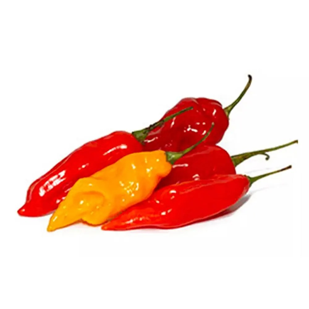 Ají Limo Congelado Alibaba – 500 g