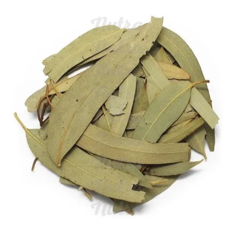 Hierba Eucalipto  Seca 40g