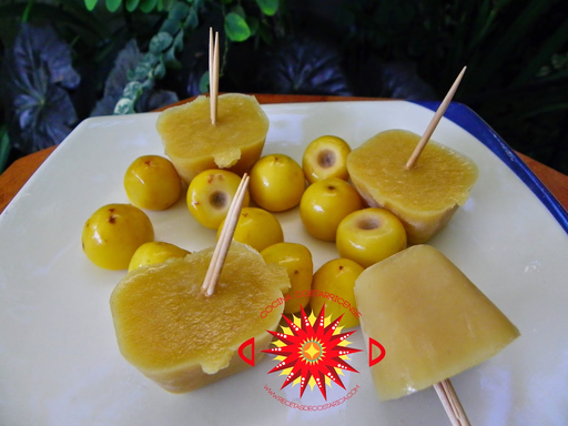 [8,43701E+12] Helados de Nance 100g Maizo