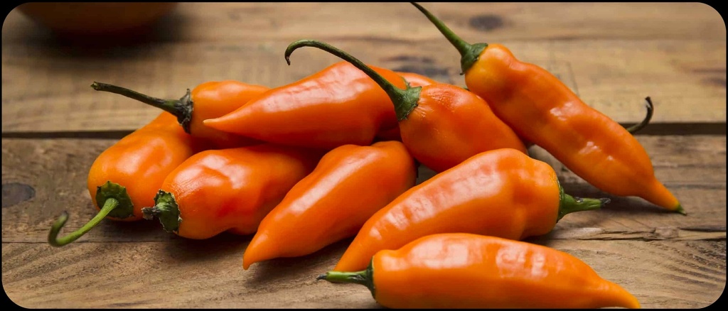 Ají Amarillo Fresco – Precio por kilo