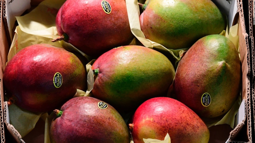 Mango Brasil (Por Und)