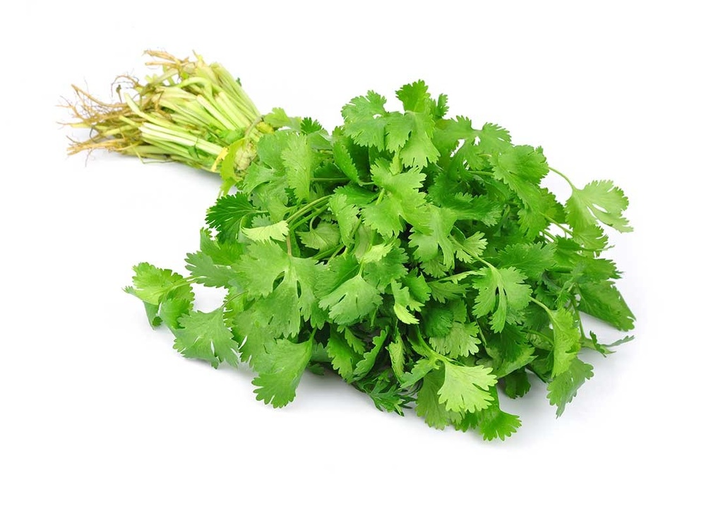 Cilantro,Yerbita Culantro(Por Und)