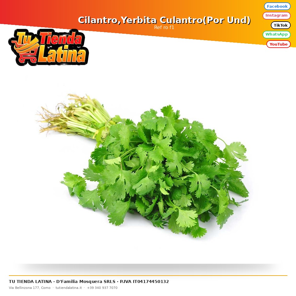 Coriander, Yerbita Culantro (Per Und)