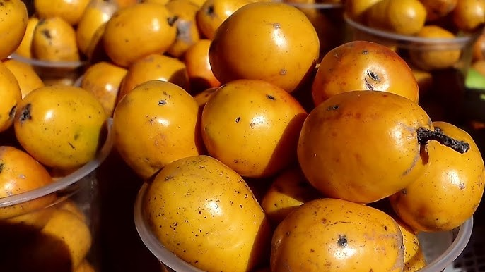 Cirguela Amarilla Jobo jocote Fruta Fresca