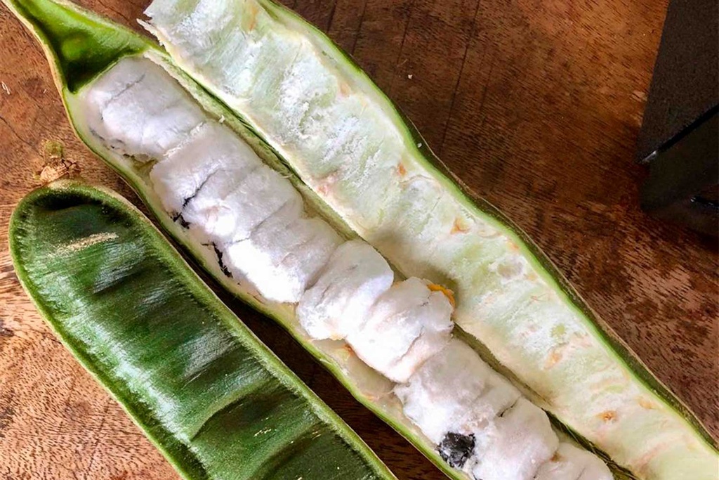 Pacay Guaba Fruta Fresca