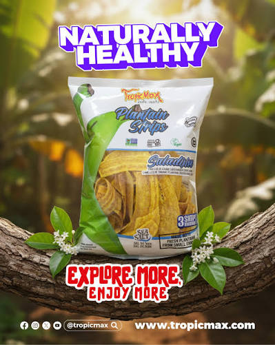 Platanitos Chips Salados 213g Tropicmax