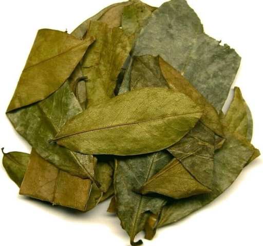 [47813] Hoja De Guanabana Seca Natural 40G