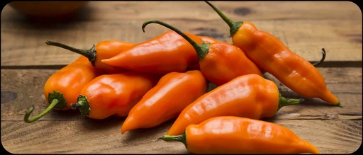 [5560] Aji Amarillo Fresco
