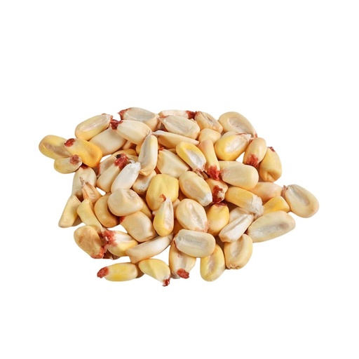 [745599049169] Maiz Cancha Crudo 500g (PERU)