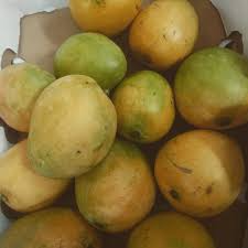 [mango] Mango De Chupar Original El Precio Es Por Kilo
