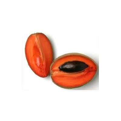 ​Zapote Mamey Fresco – Fruta Tropical 1 kg El Precio Es Por Kilo