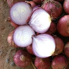 [cebolla f1] Cebolla Colorada  Fresca