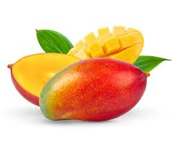 Mango Osteen Spagna 