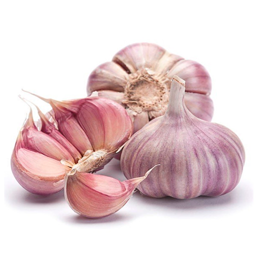 [43957] Ajo Latino Viola 200g