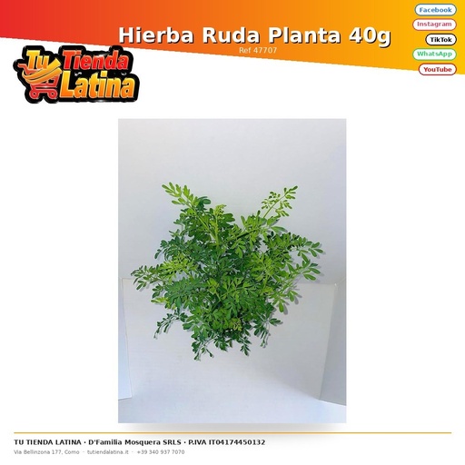 [47707] Erba Ruta 40g