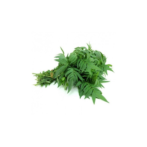 [48193] Huacatay Secas Olla De Barro 20g